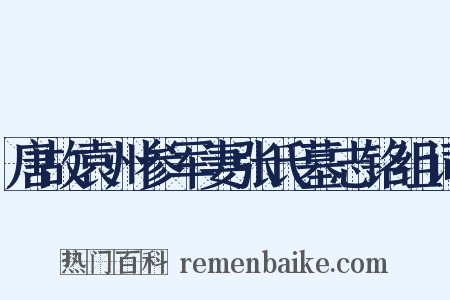 唐故袁州参军妻张氏墓志铭组词是什么意思的图片